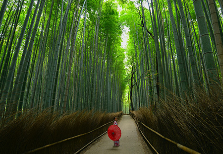 行程標題行程標題行程標題行程標題行程標題行程標題行程標題